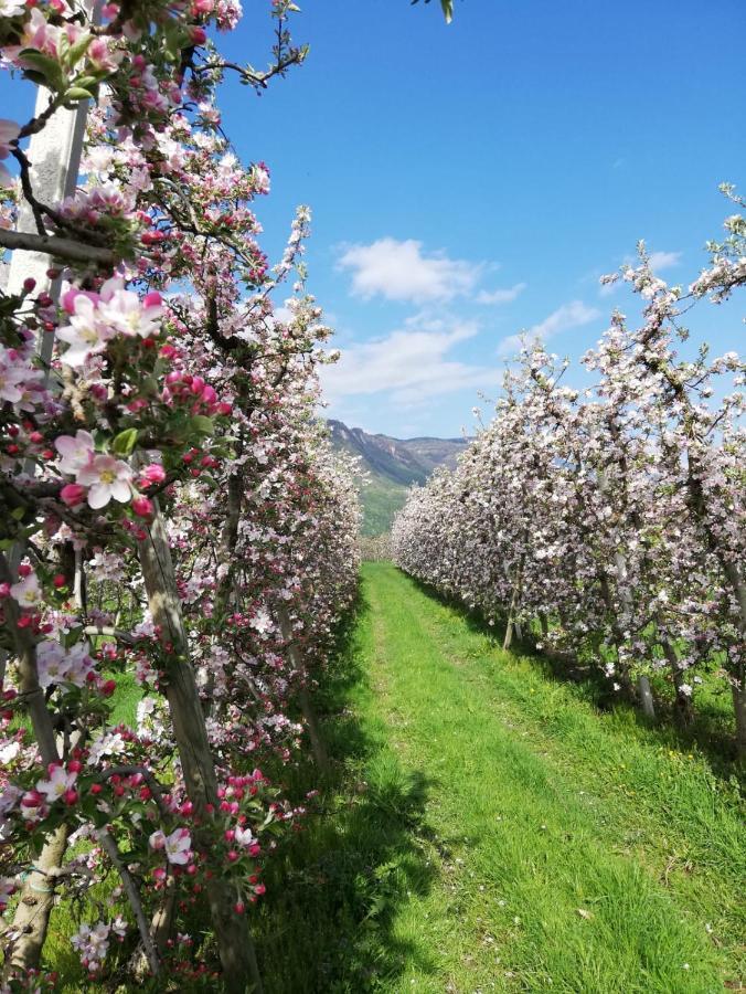 Gisshuebelhof Διαμέρισμα Άντριαν Εξωτερικό φωτογραφία